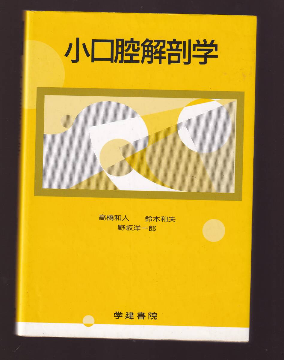 小口腔解剖学 高橋和人・鈴木和夫・野坂洋一郎 学建書院 (歯科解剖学 口腔外科拍卖