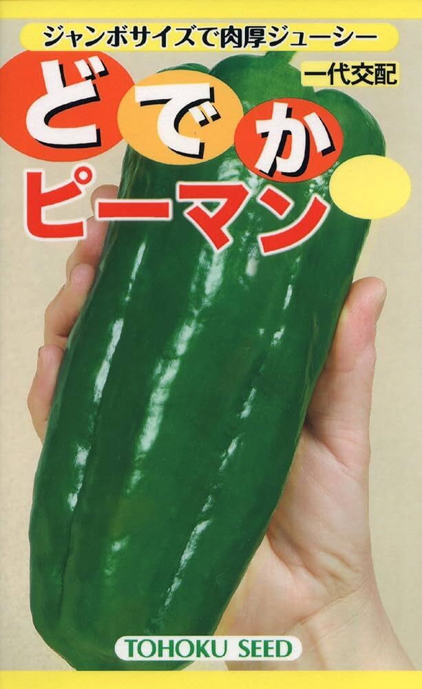 送料無料 どでかピーマン 8粒拍卖