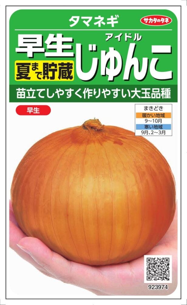 送料無料 早生玉ねぎ アイドル じゅんこ 100粒拍卖