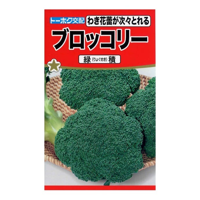 送料無料 緑積 ブロッコリー 20粒拍卖