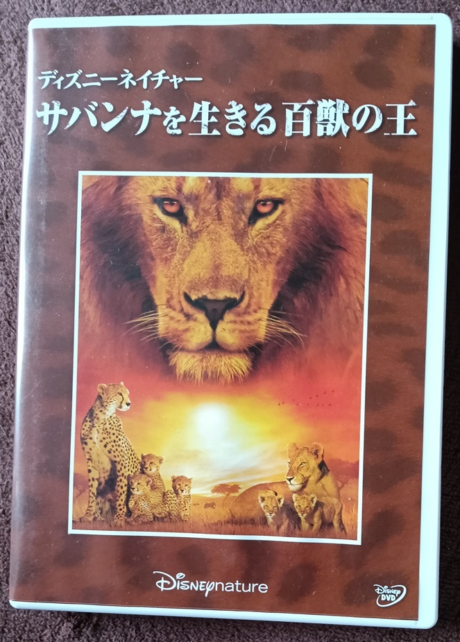 サバンナを生きる百獣の王 DVD  送料無料 1350拍卖