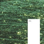 【SALE セール】THE KVB / MINUS ONE (LP)拍卖