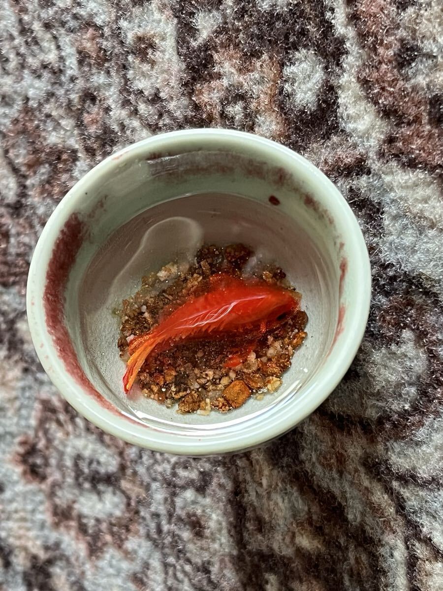 金魚アート レジンアート レジン金魚 検索 升 レジン 金魚拍卖