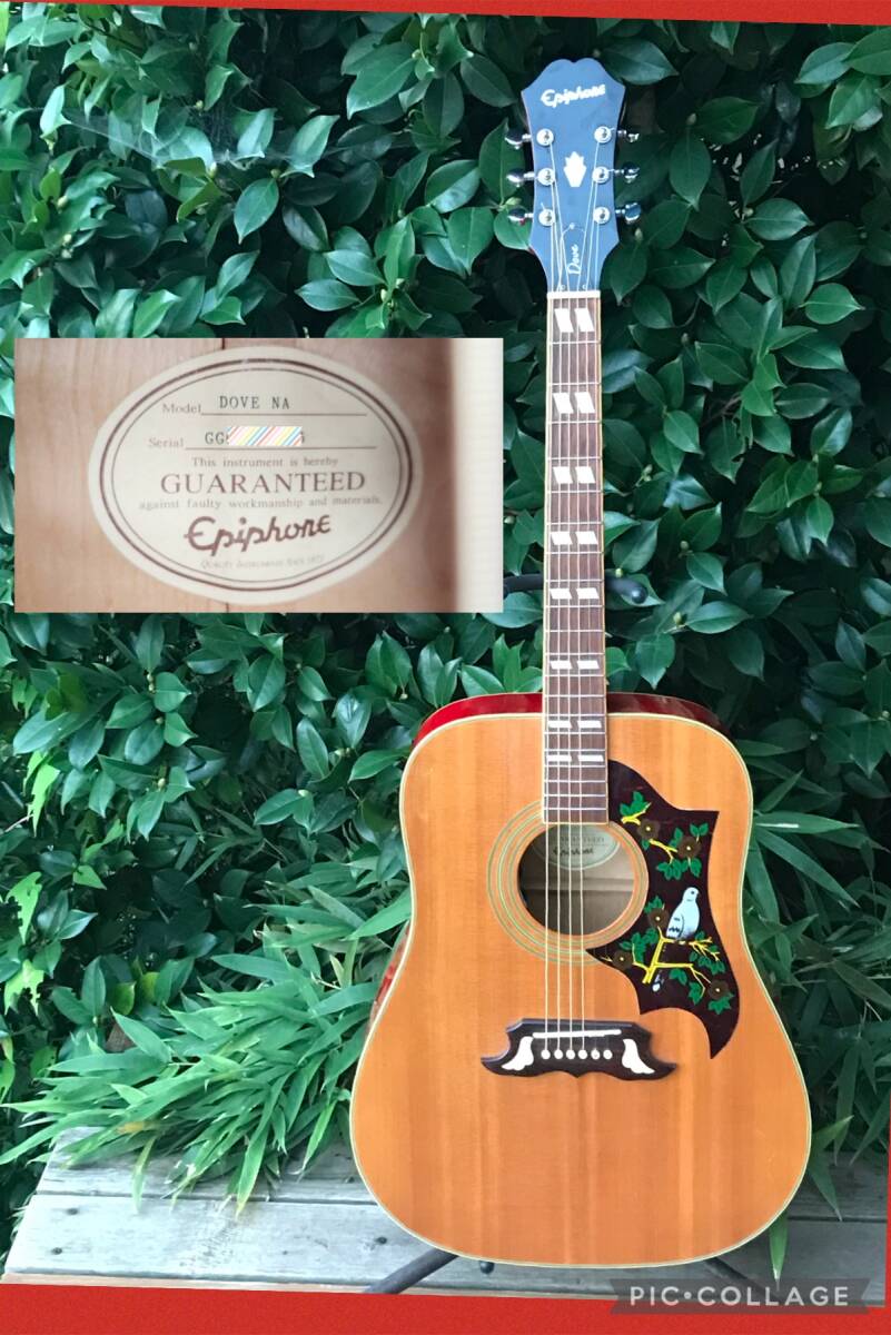 Epiphone DOVE NA ソニトーン搭載拍卖