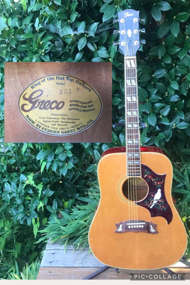 greco 303 DOVE model グレコ ダヴ拍卖