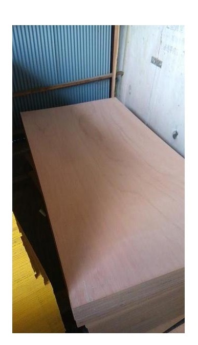 C1▲【本定#40ミ070926-5】ベニヤ合板 5.5m/m厚×1820×910m/m 重量5.3kg 希望のカットOKカット料金送料別途拍卖