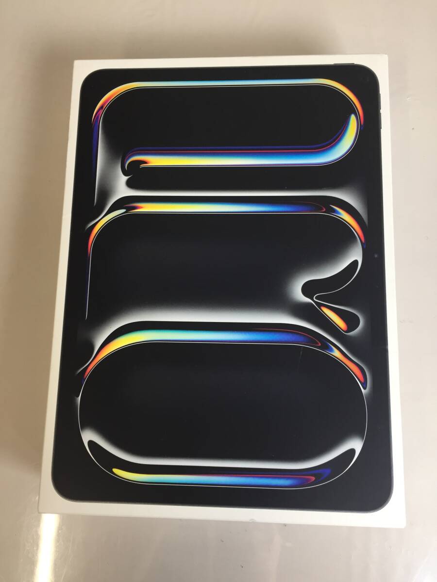 F-370 美品 Apple iPad Pro 11インチ 256GB スペースブラック Wi-Fi 2024年春モデル 第5世代拍卖