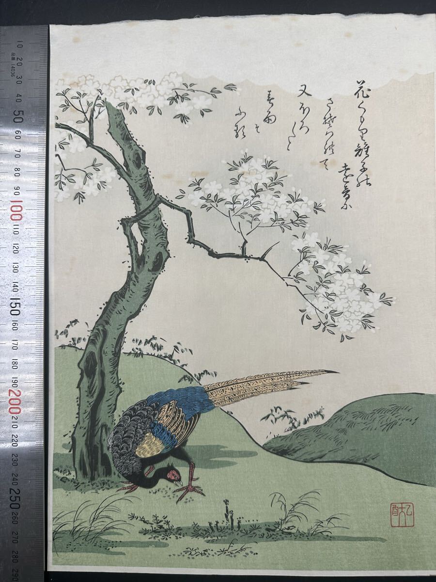 【真作】大正期 浮世絵木版画 小松軒百亀「絵兄弟」花鳥図 中判 錦絵 保存良い 拍卖