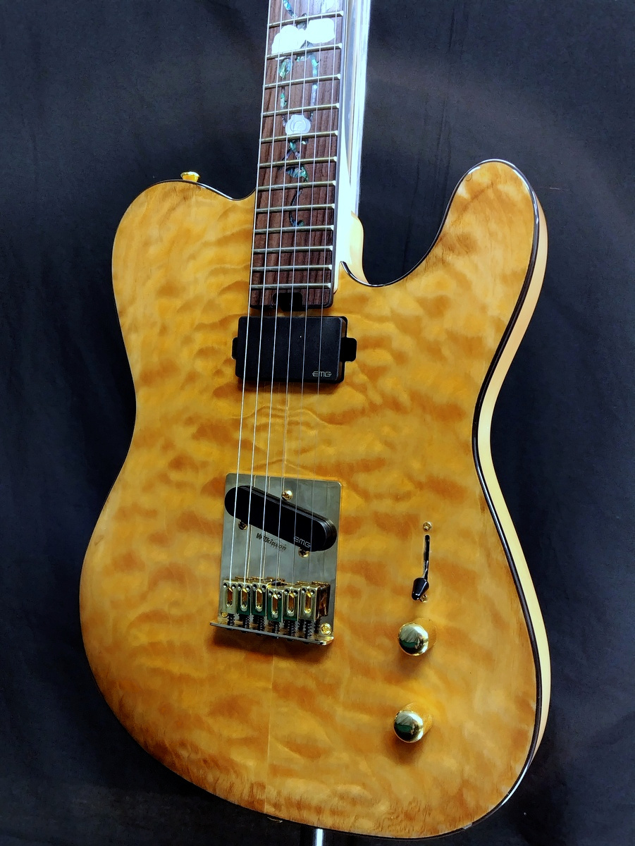 【アウトレット特価】Aria ProII TEG-780 N (Natural) アリア テレキャス タイプ EMGピックアップ搭載 エレキギター拍卖