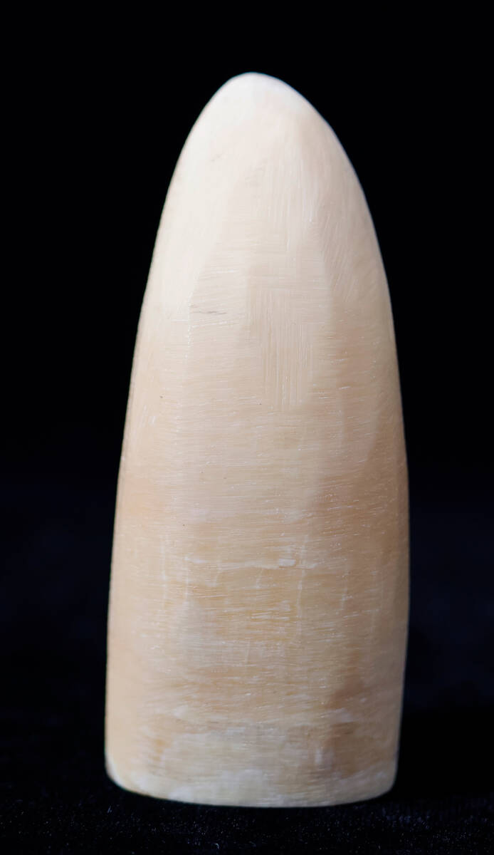 抹香 稀有な部位 鯨歯 マッコウクジラの牙 古美術 彫刻材 根付 揚物 印材 ペンダント ネックレス 天然 入手不可拍卖
