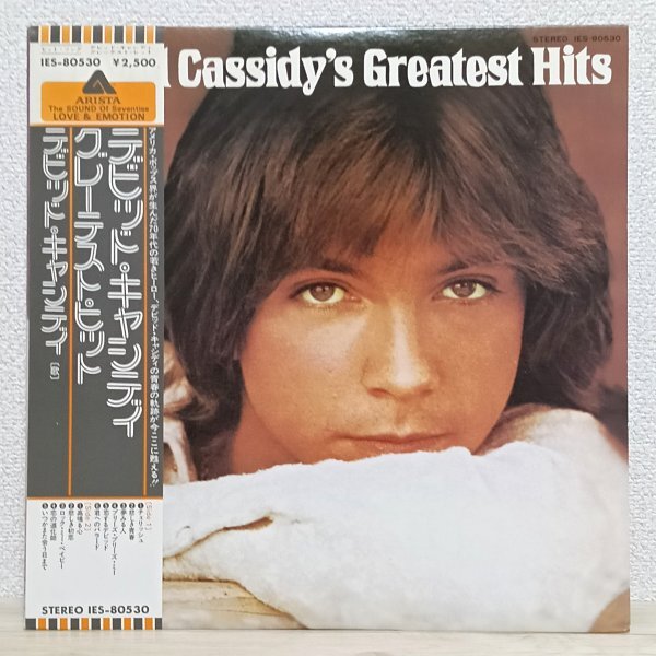 LP そ4556 IES-80530【帯付き】デビッド・キャシディ グレーテスト・ヒット David Cassidy Greatest Hits 76年 国内盤 洋楽 レコード拍卖