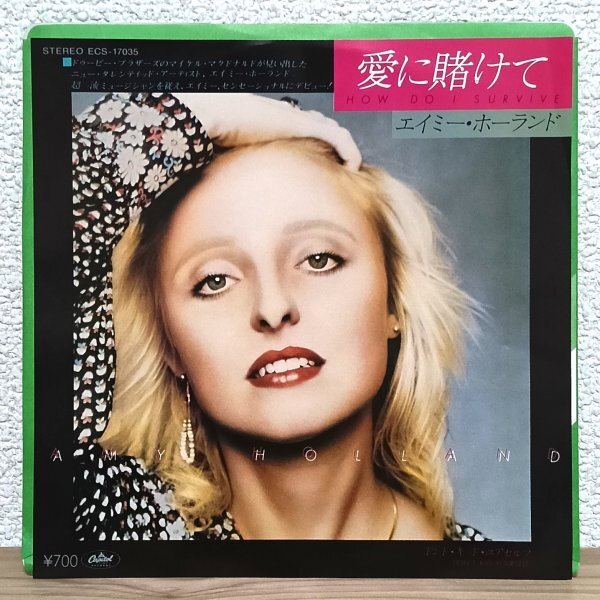 EP J4777 ECS-17035 エイミ―・ホーランド 愛に賭けて Amy Holland How Do I Survive 80年 国内盤 洋楽 レコード拍卖