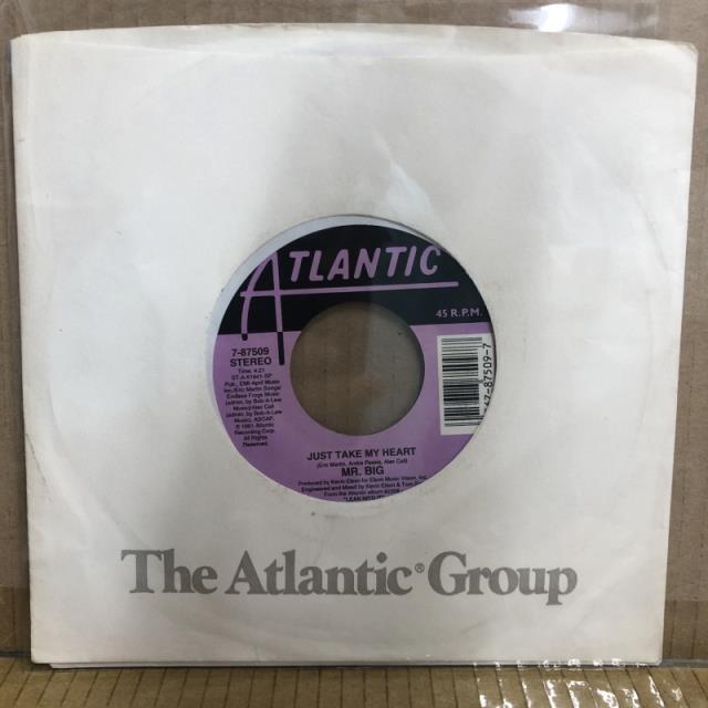 MR.BIG / JUST TAKE MY HEART (787509)拍卖