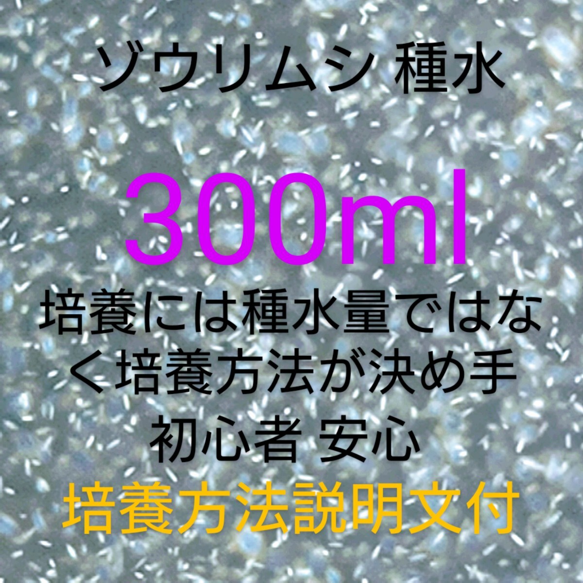 ゾウリムシ 種水300ml培養 メダカ 針子 稚魚 熱帯魚 金魚 錦鯉 らんちゅう ディスカス ベタ グッピー テトラ プレコ の餌に培養方法付 水拍卖
