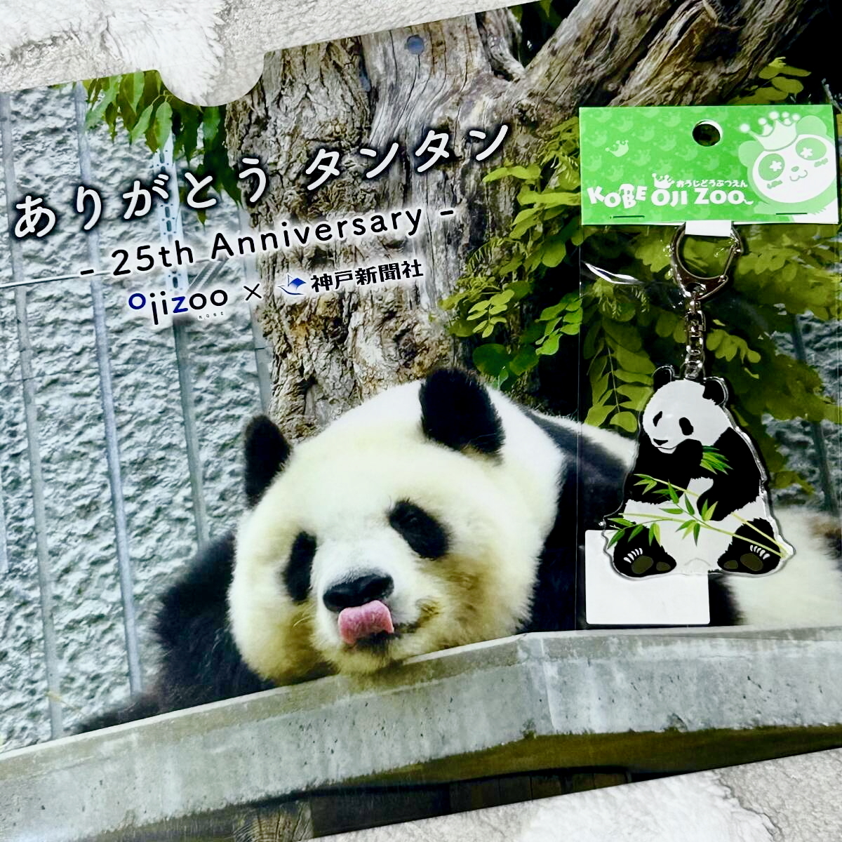 ★王子動物園×神戸新聞社『ありがとうタンタン』25thアニバーサリー クリアファイル【非売品】&キーホルダー★ ジャイアントパンダ 旦旦拍卖