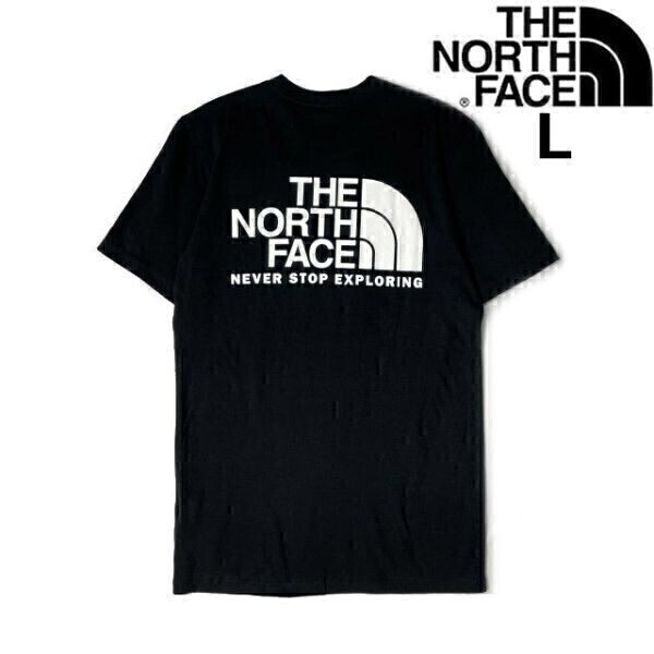 売切り【正規新品】THE NORTH FACE EVO THROWBACK S/S TEE 半袖 Tシャツ US限定 バックプリント 男女兼用 アウトドア 登山(L)黒 180902-13拍卖