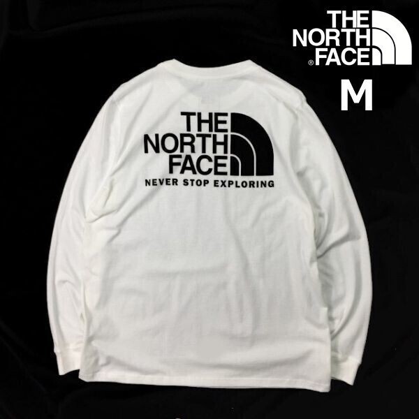 売切り【正規新品】THE NORTH FACE LONG SLEEVE EVOLUTION THROWBACK TEE 長袖 Tシャツ ロンT US限定 バックプリント 登山(M)白 180902-18拍卖
