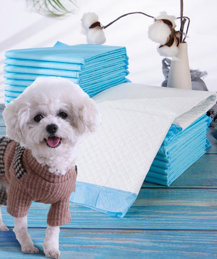 人気品ペットシーツ 薄型 レギュラー S 400枚 ワイド M 200枚 最安値 安い 業務用 トイレシート ペット シーツ 犬 猫 拍卖