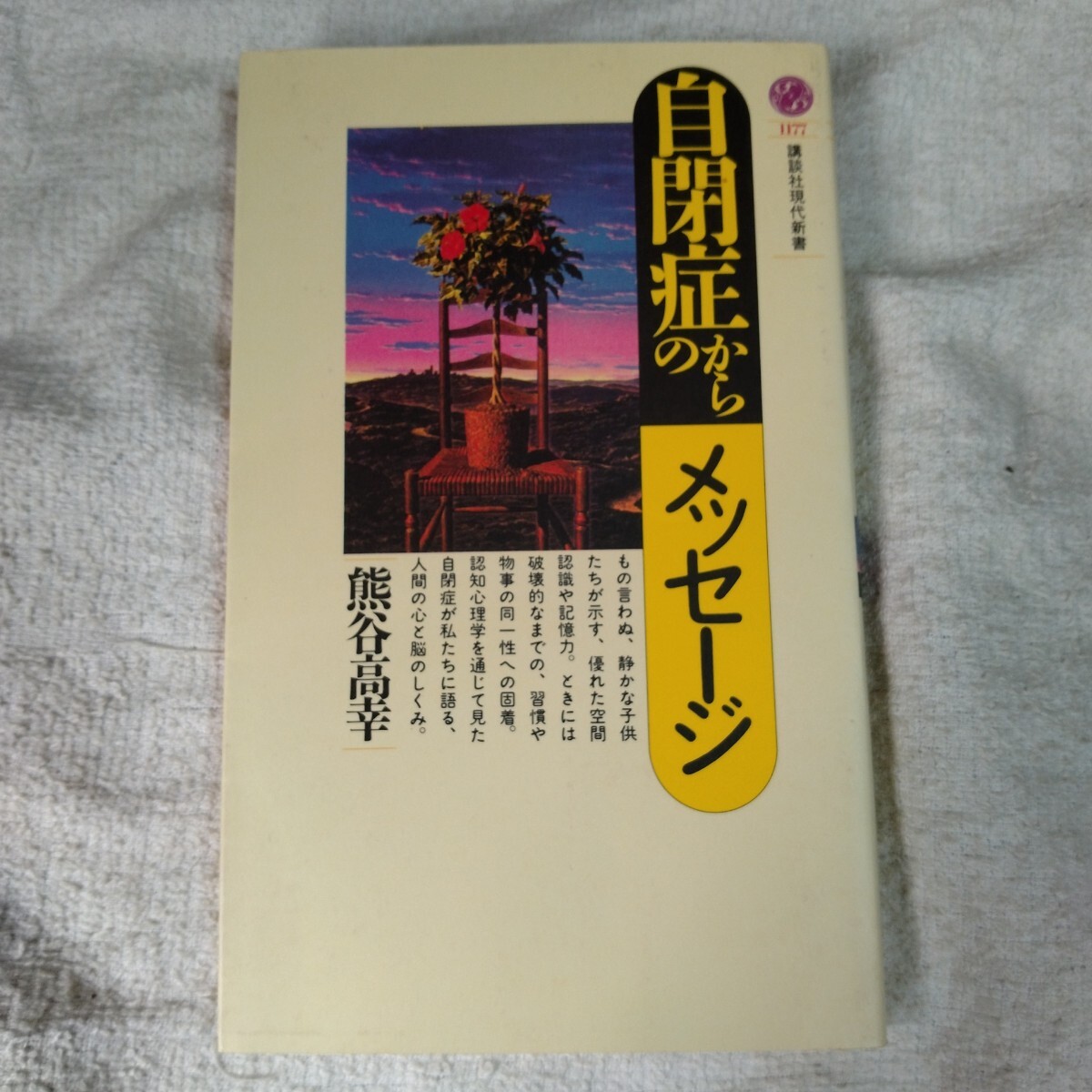 自閉症からのメッセージ (講談社現代新書) 熊谷 高幸 9784061491779拍卖