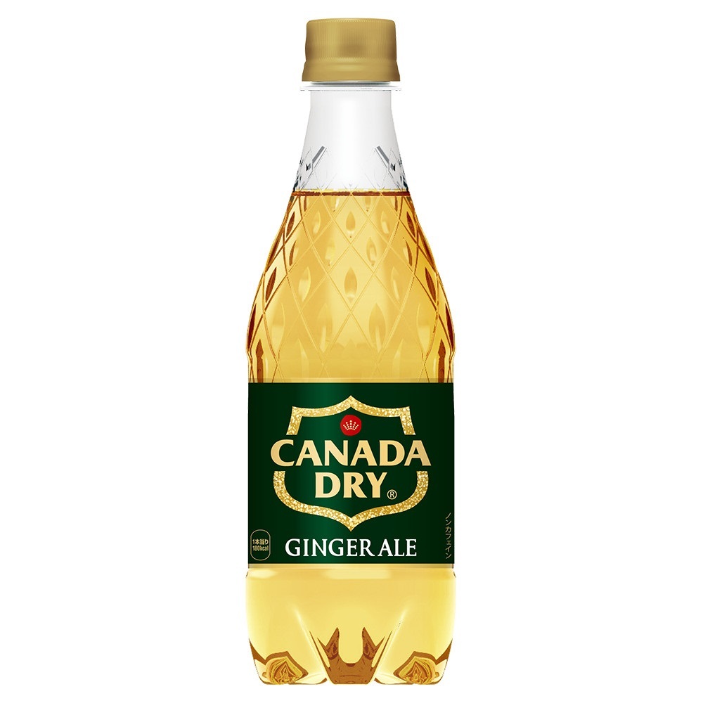 カナダドライ ジンジャエール 500ml 24本 (24本×1ケース) PET ペットボトル 炭酸飲料 ginger ale コカコーラ社 メーカー直送拍卖