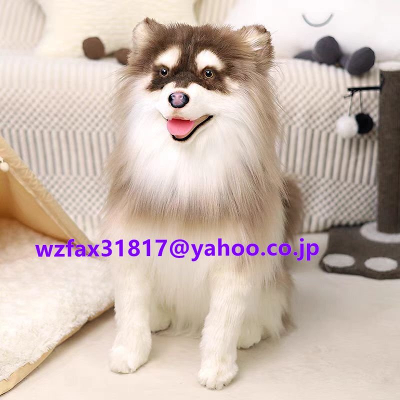 上質なアラスカ犬のぬいぐるみ - リアルで極似な癒しのコンパニオンドール拍卖