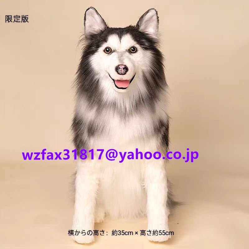 ★新品★ 超可愛い!忠実で優しいアラスカ犬のぬいぐるみ拍卖