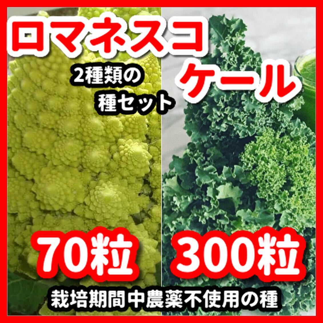 ロマネスコ&ケールの種セット★令和6年産★栽培期間中農薬不使用の種拍卖