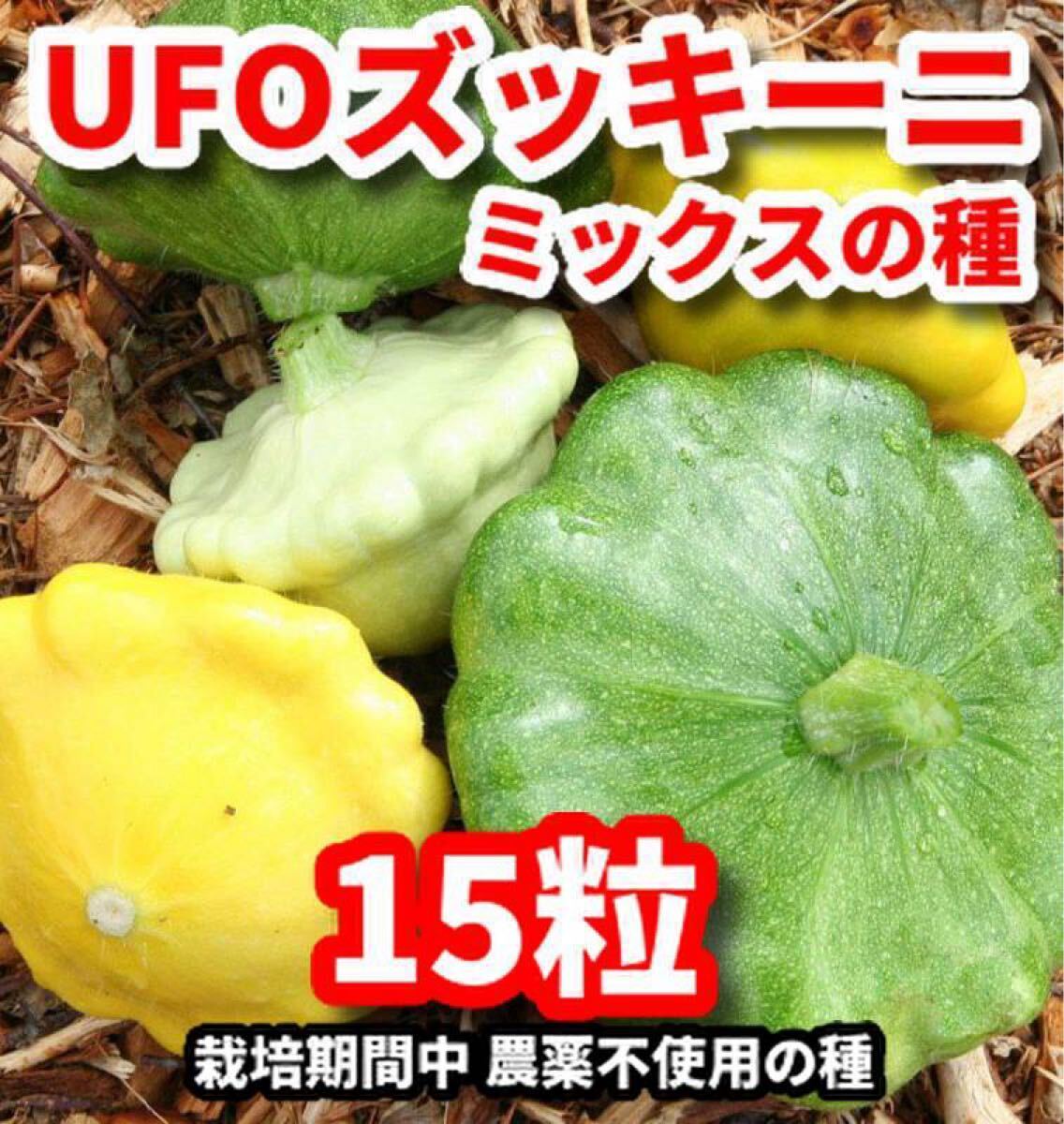UFOズッキーニmixの種【15粒】★栽培期間中農薬不使用の種!拍卖