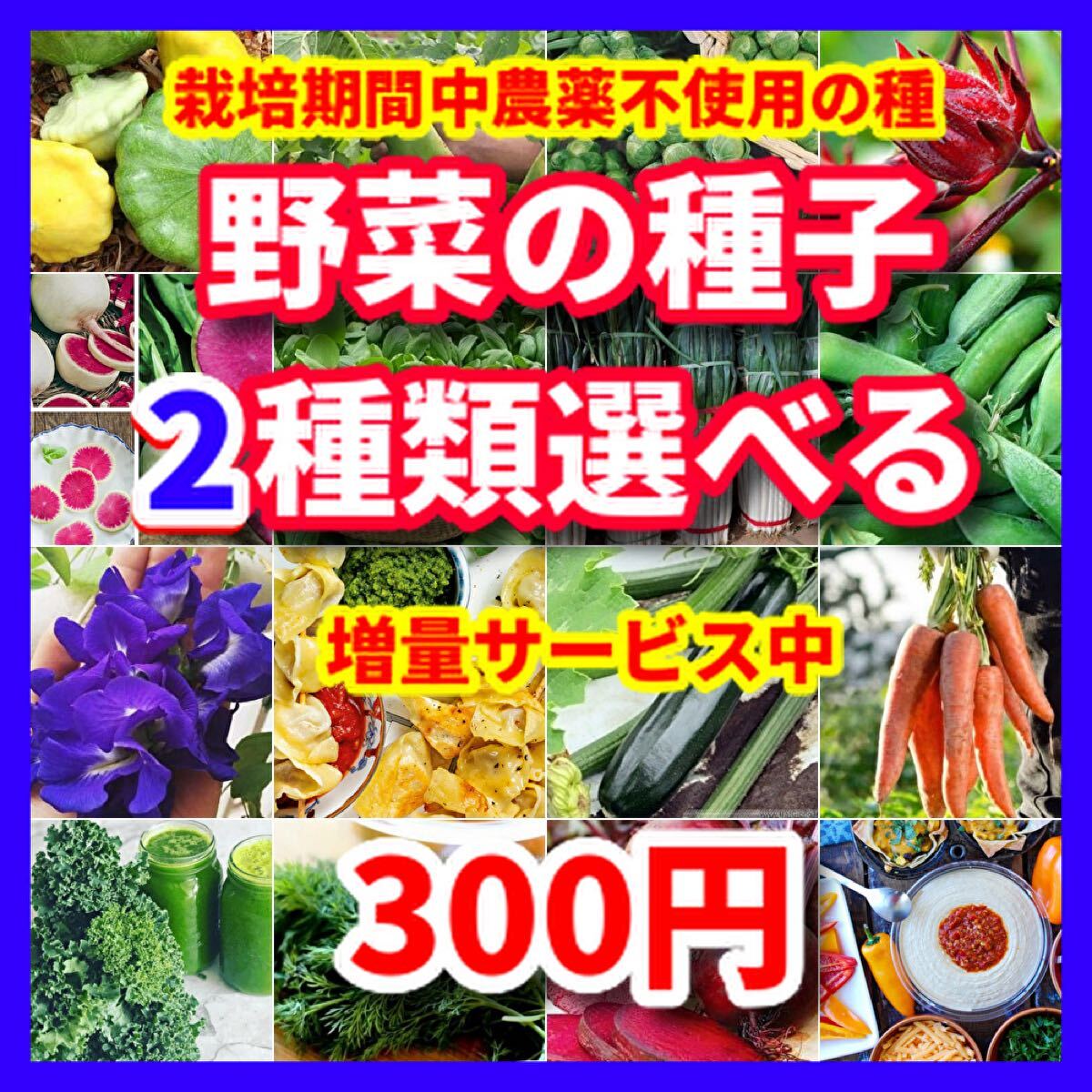 春にまく野菜の種・2点選べる★栽培期間中農薬不使用の種拍卖