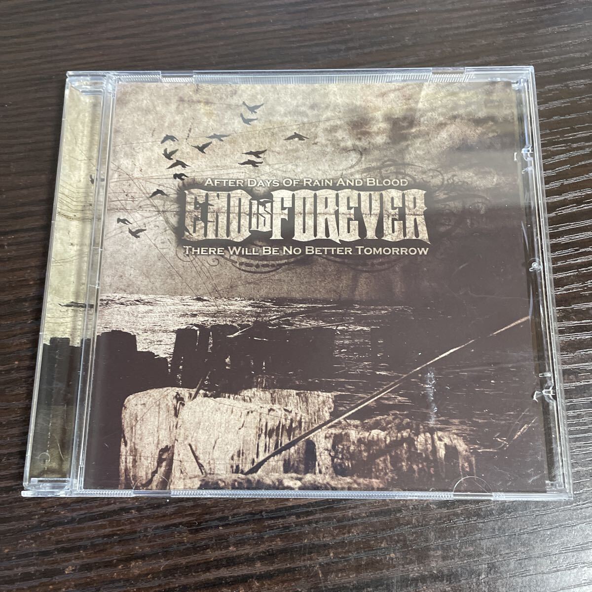 End Is Forever - There Will Be No Better エモ ニュースクール ハードコア 拍卖