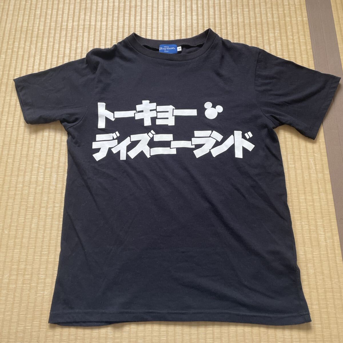 東京ディズニーリゾート Tシャツ トーキョーディズニーランド ロゴTシャツ Disney 半袖Tシャツ TOKYO Disney RESORT オフィシャルTシャツ拍卖
