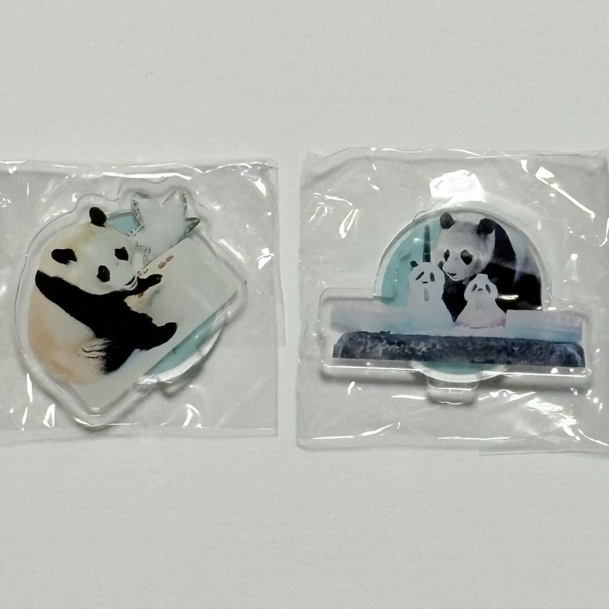 楓浜 アクリルスタンド 2歳0ヶ月誕生日 3歳3ヶ月 ガチャ アドベンチャーワールド/ジャイアントパンダ ファミリー 浜家 アクスタ拍卖