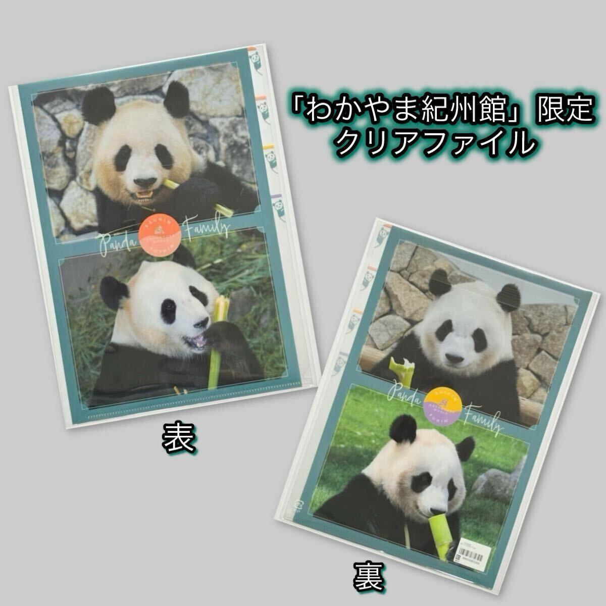 アドベンチャーワールド A4インデックスクリアファイル わかやま紀州館限定 ★良浜 ★結浜 ★彩浜 ★楓浜 浜家 ジャイアントパンダ拍卖
