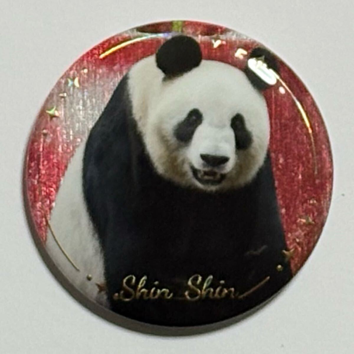 シンシン(仙女) 缶バッジ/中国雅安碧峰峡 ジャイアントパンダ 熊猫 バッヂ バッチ リーリー(比力) シャンシャン(香香) 拍卖