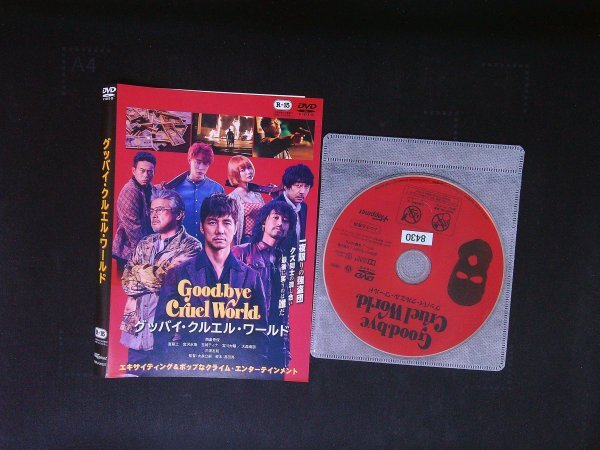 グッバイ・クルエル・ワールド DVD 西島秀俊 斎藤工 宮沢氷魚 即決 送料200円 923拍卖