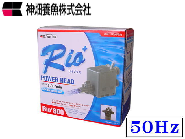 カミハタ Rio+800 50Hz リオプラス 水中ポンプ 送料無料 管理60拍卖