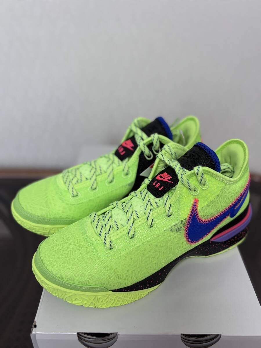 新品 ナイキ ズーム レブロン NXXT ジェン ゴーストグリーン DR8788-300 26.5cm拍卖