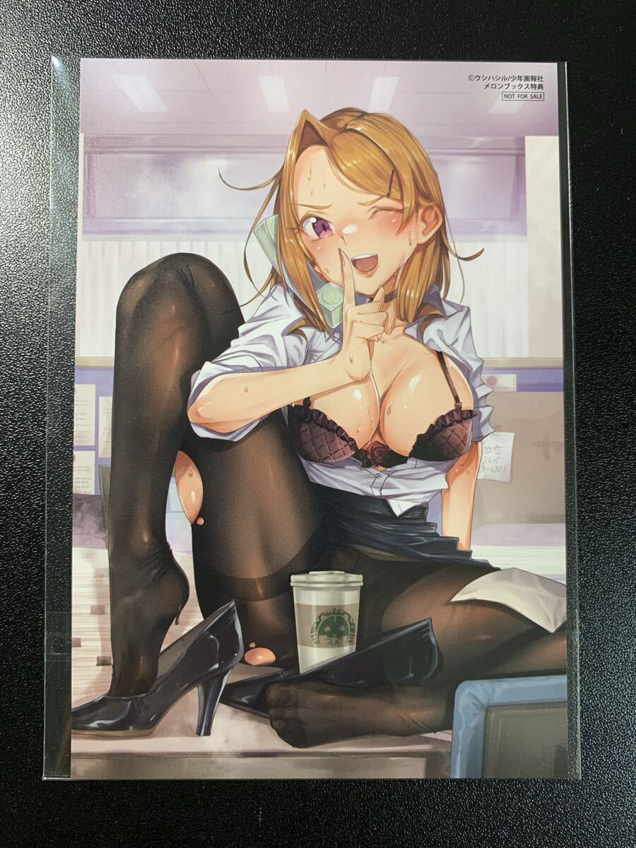 柊部長のパンストライン(1) / ウシハシル メロンブックス特典 イラストカード / 検:ポストカード拍卖