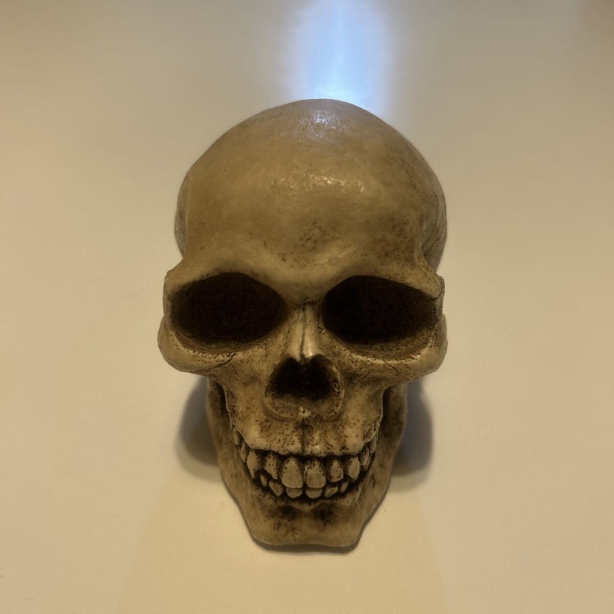 90S 1997年 W.U コピーライト 髑髏 ドクロ 貯金箱 約10センチ弱拍卖