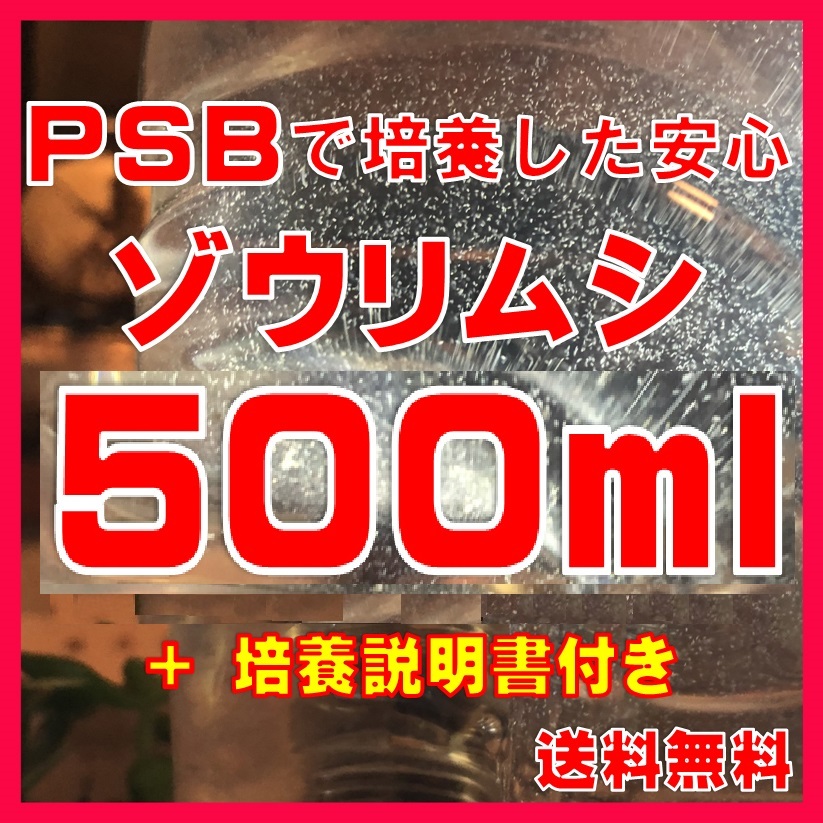 ★送料無料★PSBで培養したゾウリムシ種水500ml+培養説明書 メダカの針子、稚魚、幼魚、越冬中にも安心。拍卖