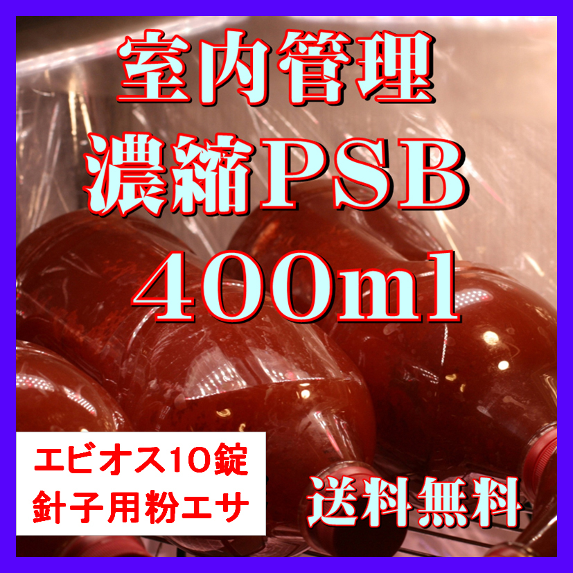 ★送料無料★ 室内管理濃縮培養PSB400ml+エビオス10錠+培養説明書+針子用粉エサ 光合成細菌 水質調整、バクテリア拍卖