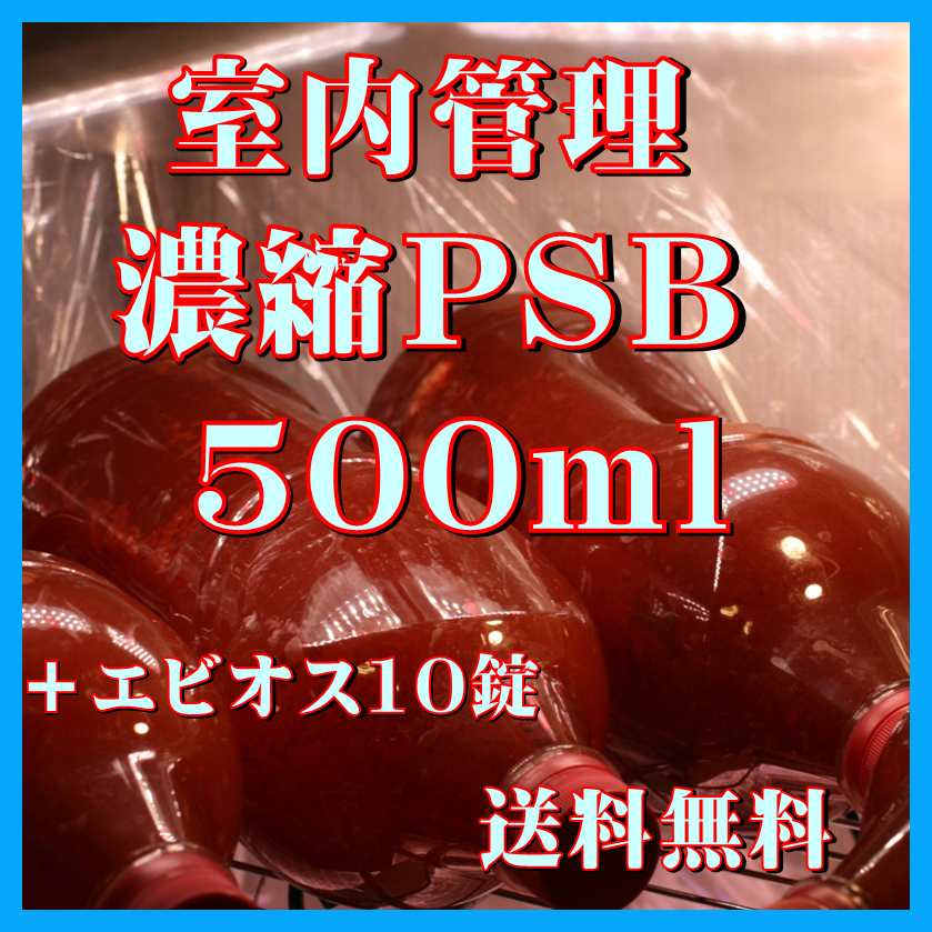★送料無料★ 室内管理濃縮培養PSB500ml+エビオス10錠 光合成細菌 水質調整、バクテリア、めだか・金魚・熱帯魚などに最適。拍卖