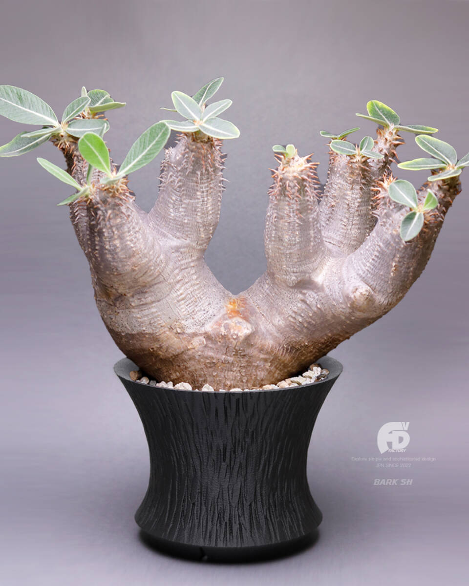 Adv-034-sh(120×95) 植木鉢 おしゃれ シンプル 鉢 多肉 塊根植物 コーデックス 観葉 作家鉢 3d鉢 Adv鉢 3dプリンター鉢 グラキリス アガベ拍卖