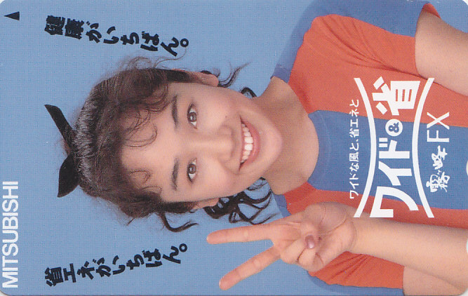 西田ひかる MITSUBISHI 霧ヶ峰 ワイド…/【テレカ】 L.9.1 ★送料最安75円~拍卖