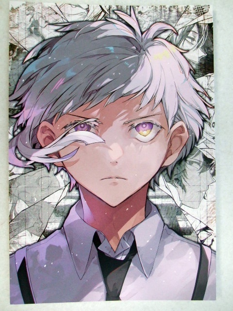 ワンダーグー 限定 文豪ストレイドッグス 27巻 ポストカード no2 250904 特典 WonderGOO 非売品 イラストカード イラストペーパー 春河35拍卖