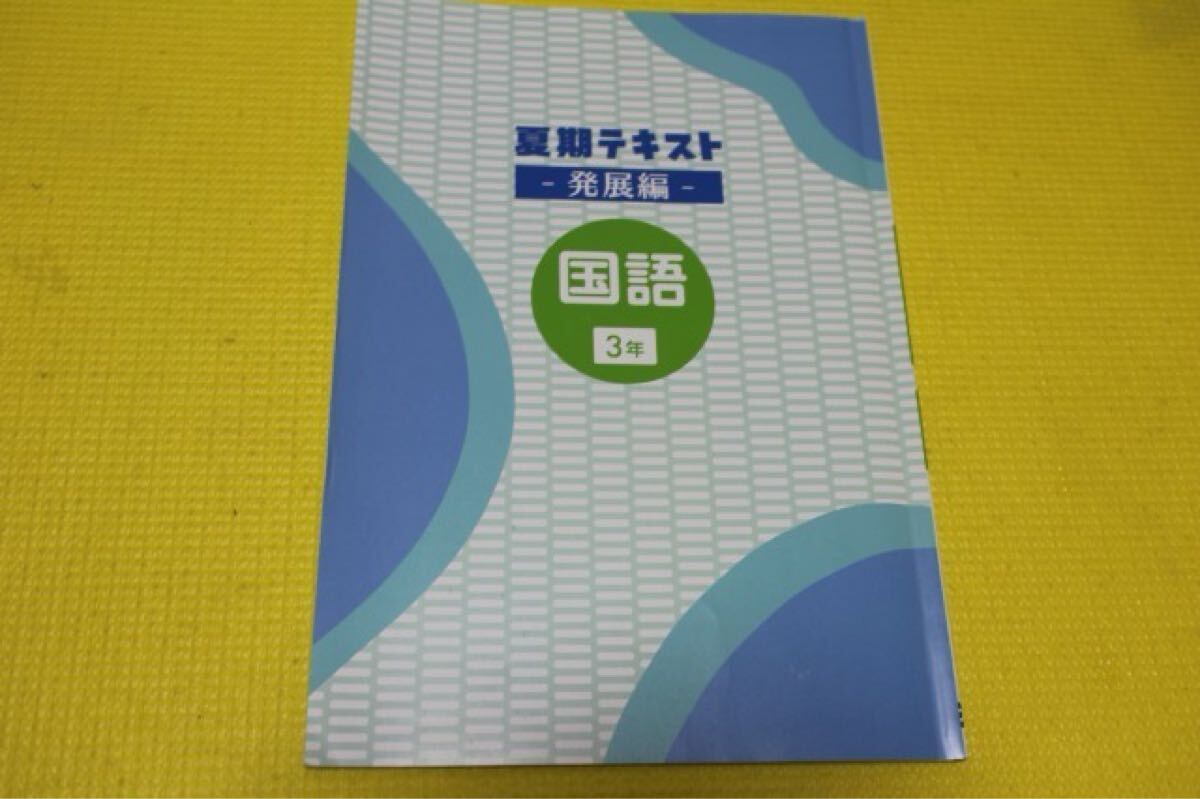 早稲田アカデミー 夏期テキスト 発展編 高校受験 国語 中学3年 中学 塾テキスト拍卖