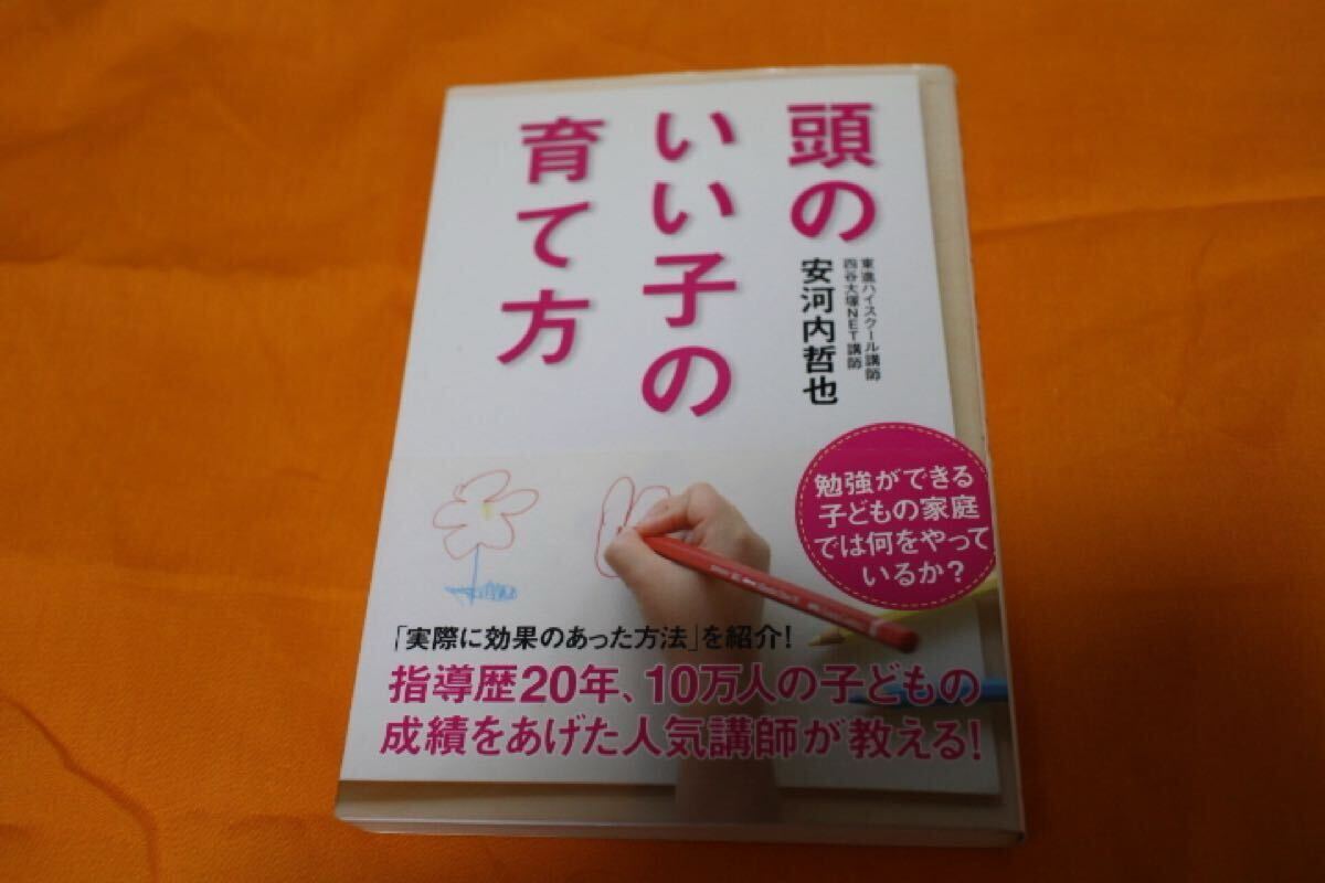 頭のいい子の育て方 安河内哲也 中経出版 人気講師 東進ハイスクール 育児 早期教育拍卖