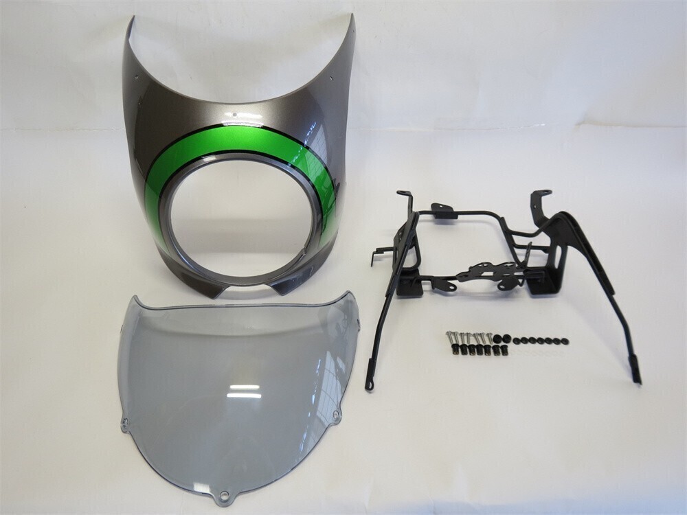 Z900RS z900rs 専用 カウル ビキニカウル & スクリーン & ステー セット C 灰x緑&グレーライトスモーク【fr-z900rsc-s-d1】拍卖