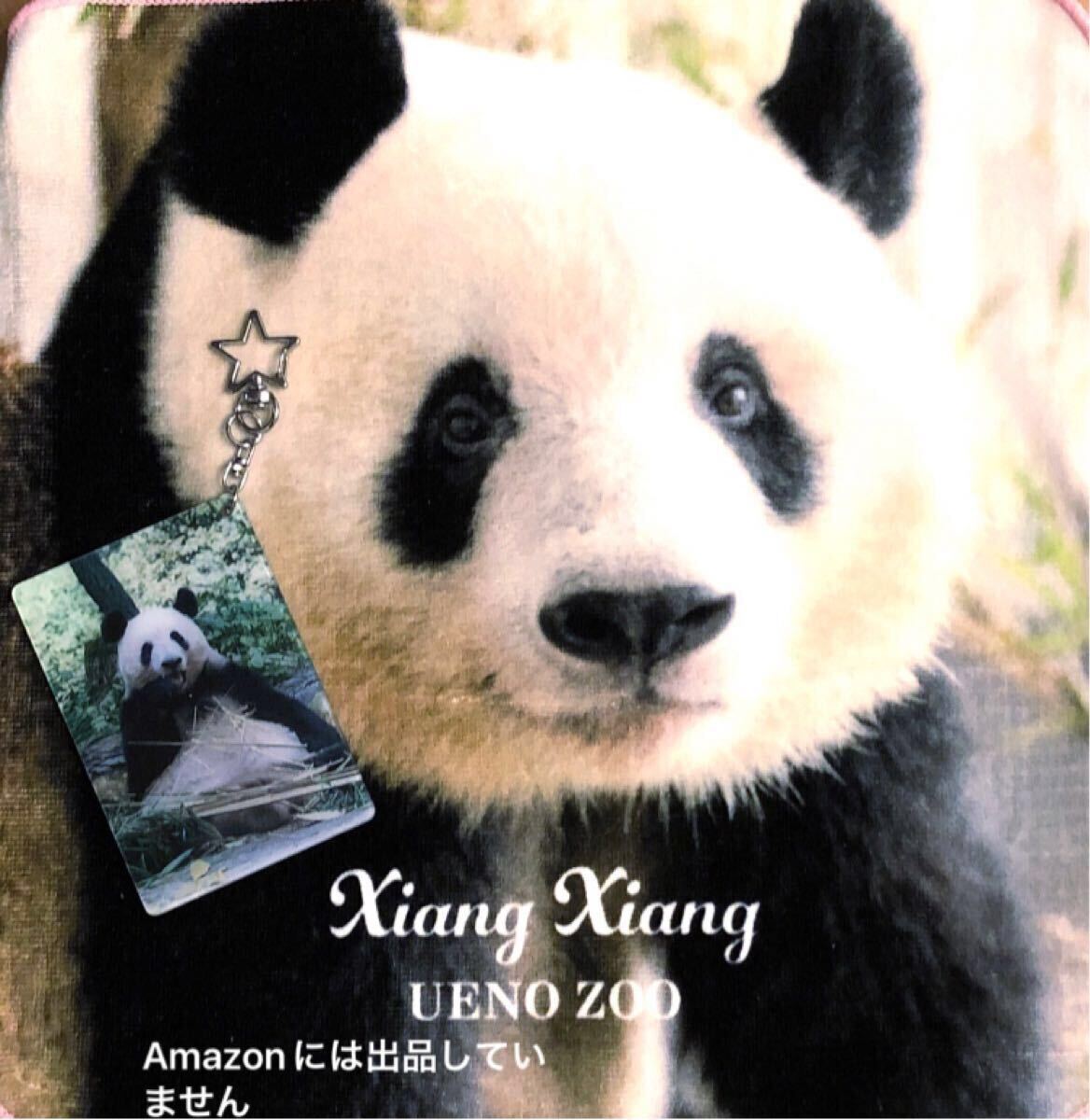 上野動物園 シャンシャン 大判ハンドタオル 日本未発売 シャンシャン両面星型キーチャーン付きアクリルキーホルダー ジャイアントパンダ拍卖