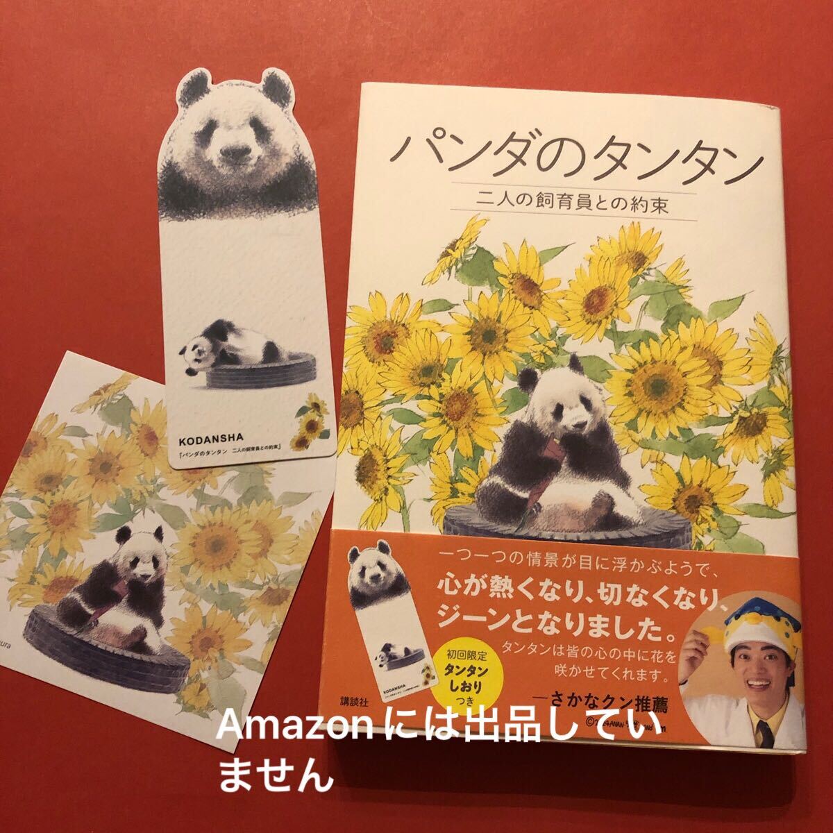 ☆初回特典☆しおり付き☆未読☆パンダのタンタン☆ノベルティ☆メモ用紙☆王子動物園 ジャイアントパンダ拍卖